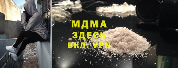 прущие грибы Вязьма