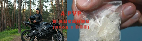 прущие грибы Вязьма