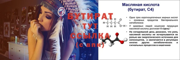прущие грибы Вязьма