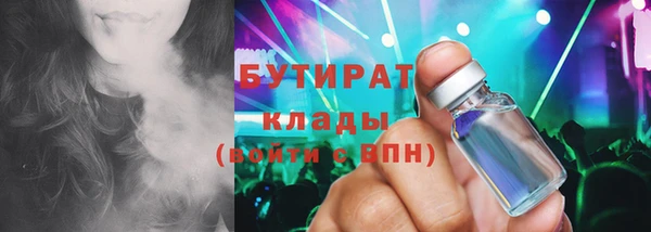 прущие грибы Вязьма