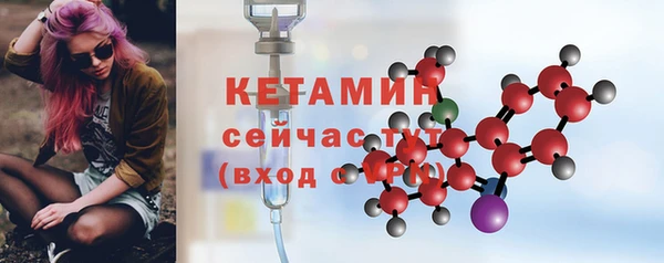 прущие грибы Вязьма