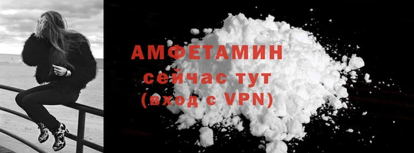 прущие грибы Вязьма