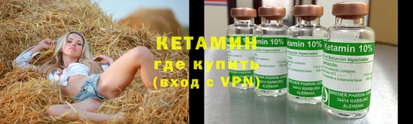 прущие грибы Вязьма