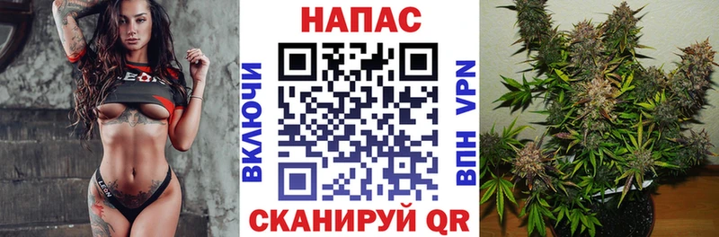 Купить закладки  Короча  Бошки марихуана SATIVA & INDICA 